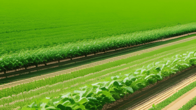 jobsnewsportal.com e crop based smart farming will increase crop productivity e crop based smart farming will increase crop productivity