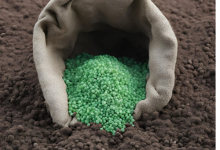 jobsnewsportal.com chemical fertilizer use is bad for both soil health and human health chemical fer