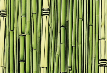 jobsnewsportal.com start a bamboo business and make thousands start a bamboo business and make thous
