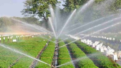 Micro irrigation community scheme