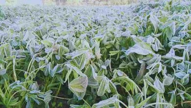 Agriculture tips