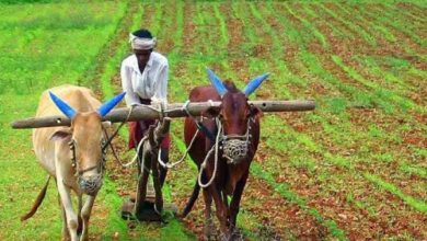 Krishi rakshak scheme