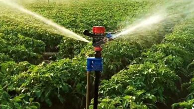 Mini sprinkler