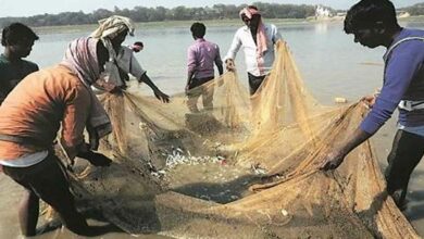 Chief minister fishermen welfare scheme