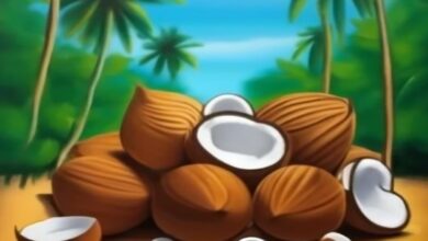 Coconut farming