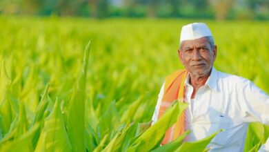 Mukhyamantri krishak sathi yojana