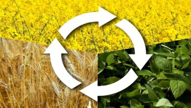 Crop rotation technology