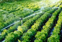 Farmers irrigation scheme