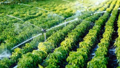 Farmers irrigation scheme