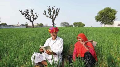 Government schemes