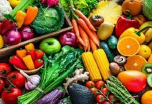 Integrated horticulture development mission