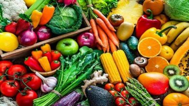 Integrated horticulture development mission