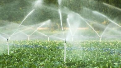 Irrigation pipeline subsidy