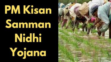 Pm kisan samman nidhi scheme