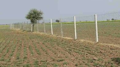 Rajasthan tarbandi yojana
