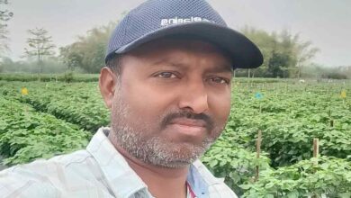 Success story