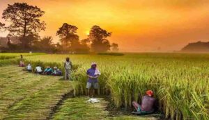 Farmer pension scheme
