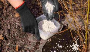 Gypsum subsidy