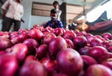 Onion storage subsidy