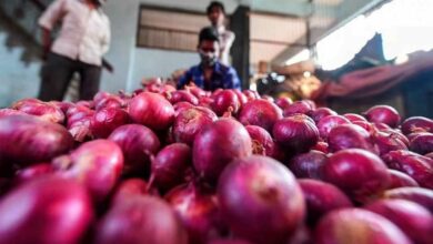 Onion storage subsidy