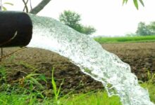 Rajasthan agriculture scheme