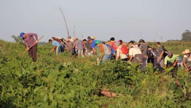 Land reform program