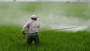 Bihar government pest management scheme
