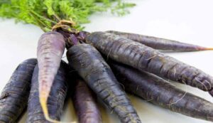 Black carrot farming