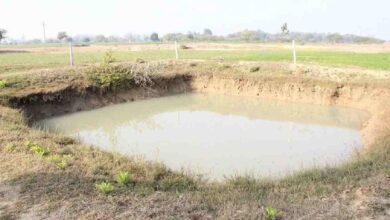 Khet talab yojana