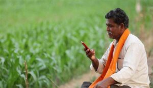 Subsidy on cultivation of turmeric and yam
