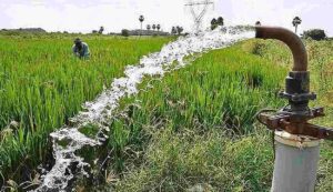 Cm minor irrigation scheme