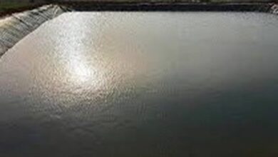 Farmer farm pond scheme