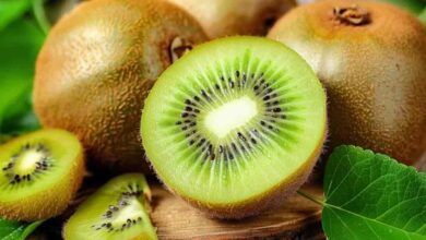 Kiwi farming