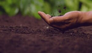 Organic farming
