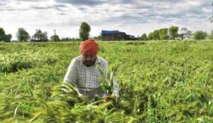 Pm crop insurance scheme