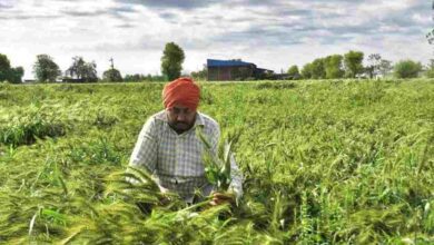 Pm crop insurance scheme