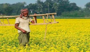 Pm kisan scheme update