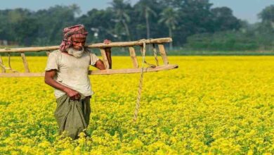 Pm kisan scheme update