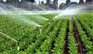 Pradhan mantri krishi sinchai yojana