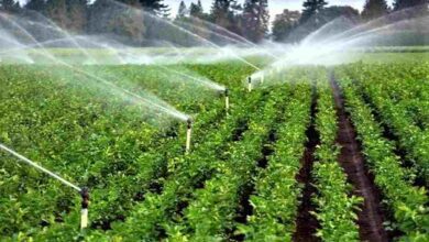 Pradhan mantri krishi sinchai yojana