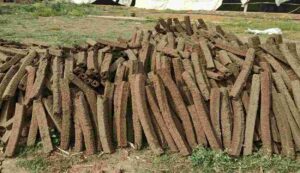 Cow dung wood business