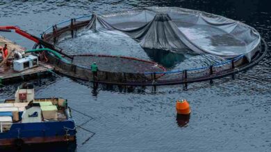 Methods of fish farming