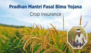 Pm crop insurance scheme