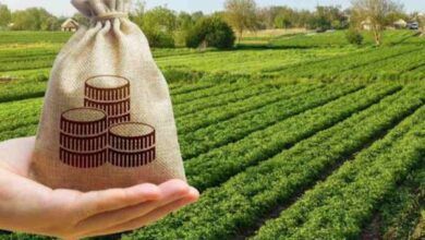 Pm crop insurance scheme