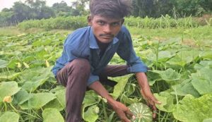 Success story