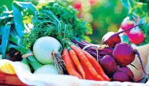 Vegetable farming tips