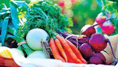 Vegetable farming tips