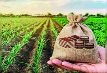 Online application for farm equipment subsidy