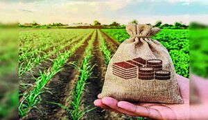 Online application for farm equipment subsidy