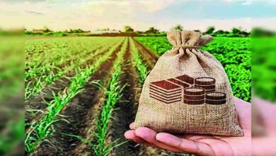 Online application for farm equipment subsidy